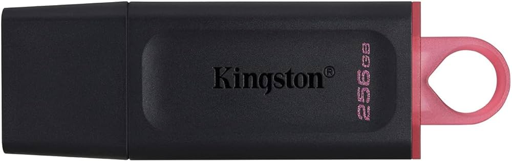 Immagine di PEN DRIVE USB 3.2 256GB KINGSTON DTX/256GB