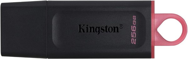 Immagine di PEN DRIVE USB 3.2 256GB KINGSTON DTX/256GB