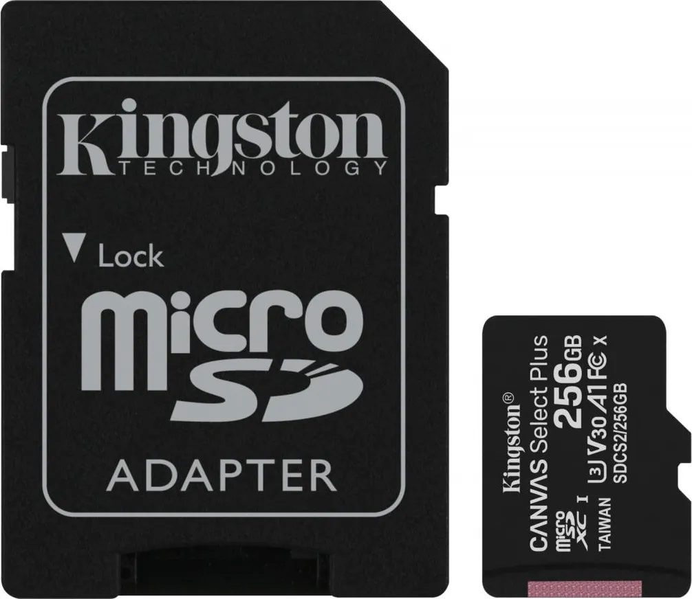 Immagine di MICRO SDHC 256GB CL10 KINGSTON SDCS2/256GB (SIAE INCLUSA)