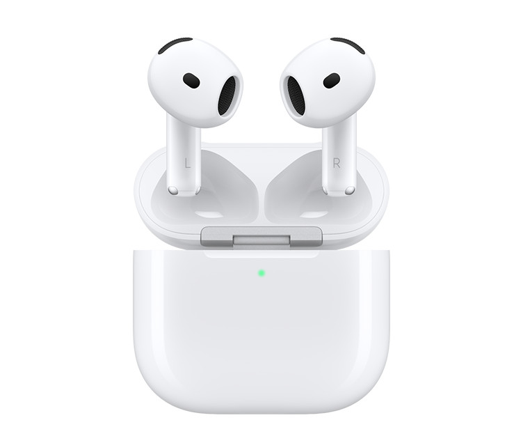 Immagine di APPLE AURICOLARI EARPODS 4 2024 + CUST. RIC. USB-C [ANC] MXP93ZM/A